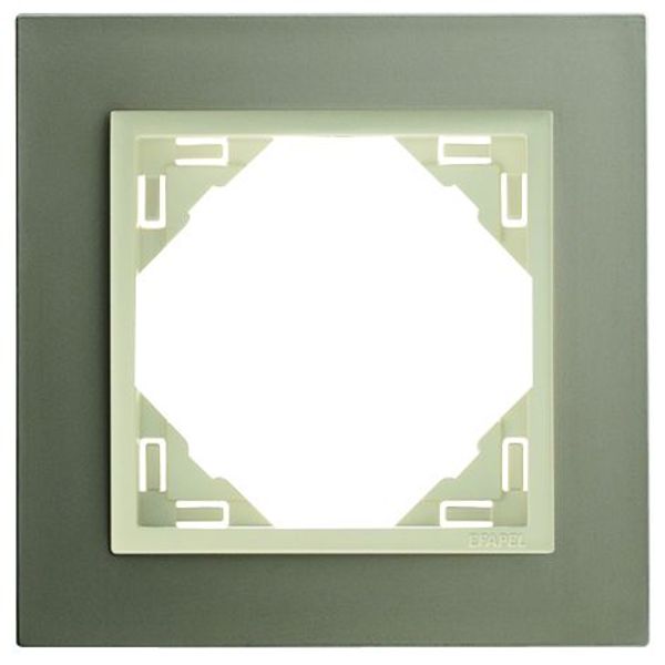 SINGLE FRAME TITANIUM/PEARL image 1