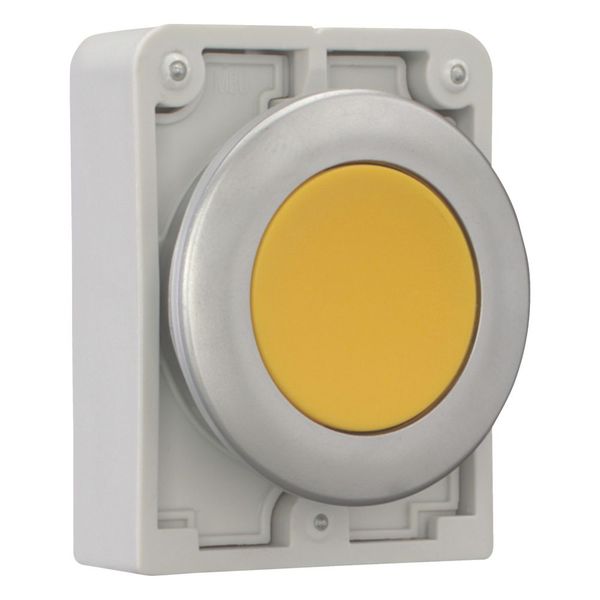 M30C-FDR-Y Pushbutton, RMQ-Titan, Flat, maintained, yellow, Blank, Metal bezel image 11