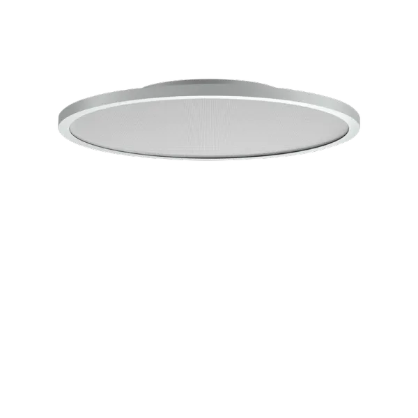 FL R+ 555 SM 23 S/B 830 GR9006 MP image 1