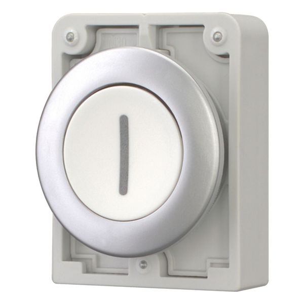 M30C-FD-W-X1 Pushbutton, RMQ-Titan, Flat, momentary, White, inscribed, Metal bezel image 5