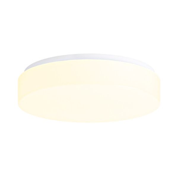 DELIA 2 LED, 28W, 2720lm, 4000K, IP54 image 1