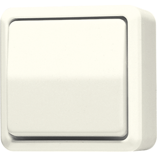 1-gang switch 10 AX / 250 V ~ 607A image 1