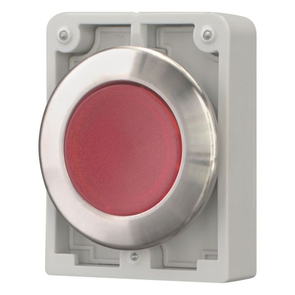 M30I-FDL-R Illuminated pushbutton actuator, RMQ-Titan, flat, momentary, red, blank, Front ring stainless steel image 6