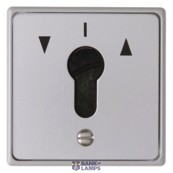 Blind push button 1-prong for key cylinder, flush-mounted, cast IP44 image 1