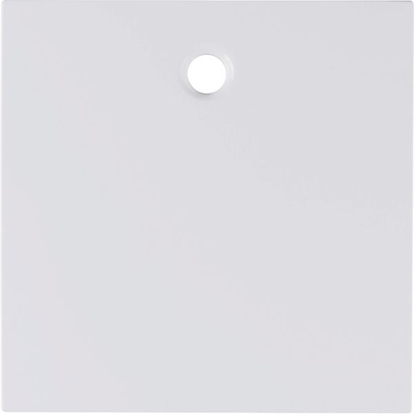 Centre plate f. pullcord switch/pullcord push-button, S.1/B.3/B.7, p.w image 2