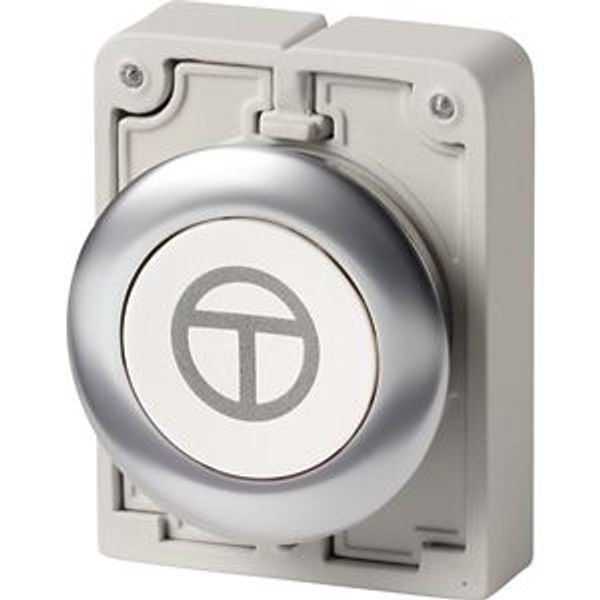 M30I-FD-W-X11 Pushbutton, RMQ-Titan, flat, momentary, White, inscribed, Front ring stainless steel, ON/OFF image 2