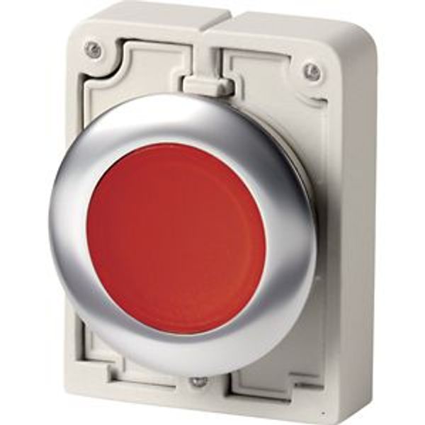 M30I-FDL-R Illuminated pushbutton actuator, RMQ-Titan, flat, momentary, red, blank, Front ring stainless steel image 2