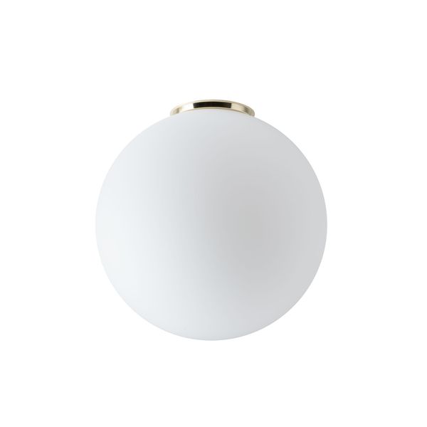 LED-5L06C06BD1/196 MS DALI 4000 image 1