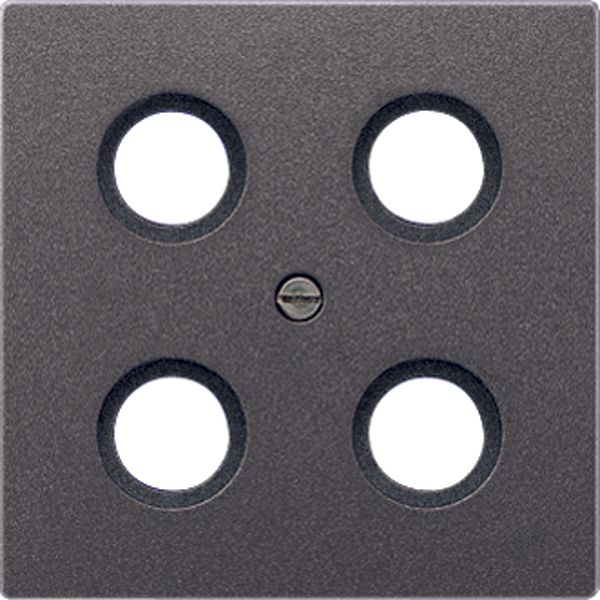 Centre plate AL2990-4SAT1AN image 2