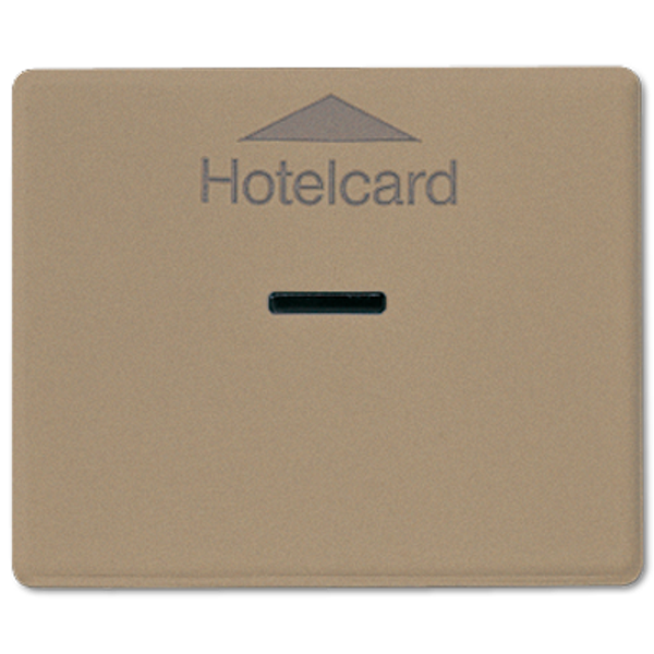 Afdekking SL500 go.brons Hotelcard-schak image 2