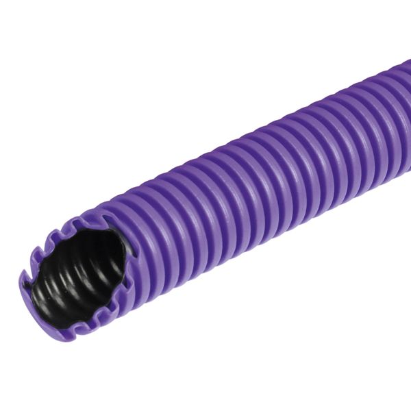 Flexibele kunststof buis; blauwwpurper image 1