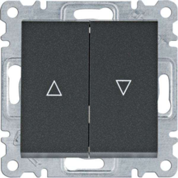 VR Double Push Button 1F - black Ss/Screw image 1