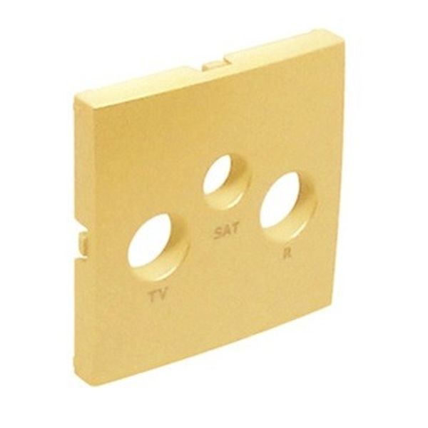COVER PLATE FOR R-TV-SAT SOCKETS GOLDEN image 1