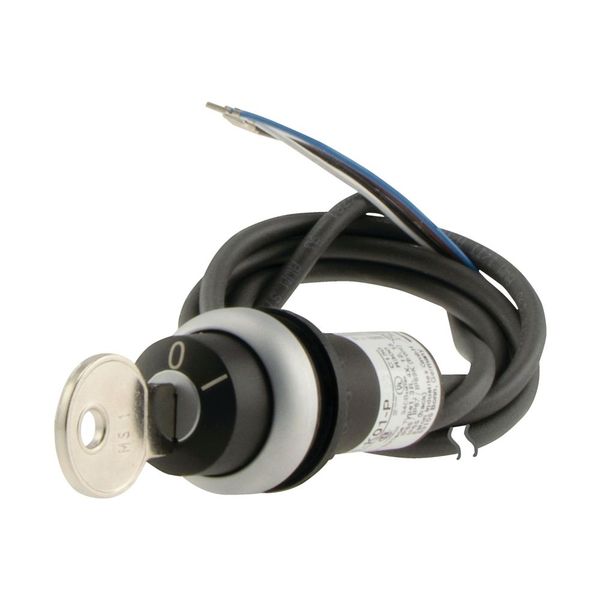 C22-WRS-MS1-K02-P65 Key-operated actuator, RMQ compact solution, maintained, 2 NC, Cable (black) with non-terminated end, 4 pole, 3.5 m, 2 positions, MS1, Bezel: titanium image 8