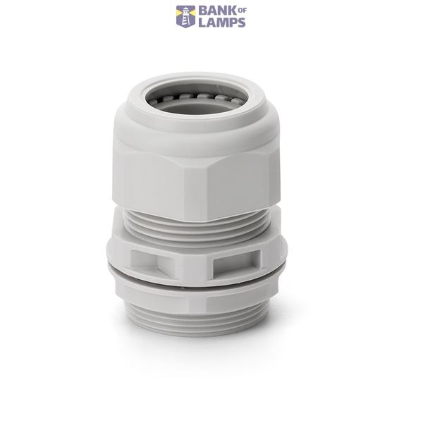 RECEPTACLE 100A 2P 3W 6h IP67 250V image 1