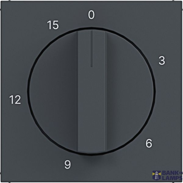 Central plate for mechanical time switch 0-15 min., A.x/C.x, anthracite. image 1