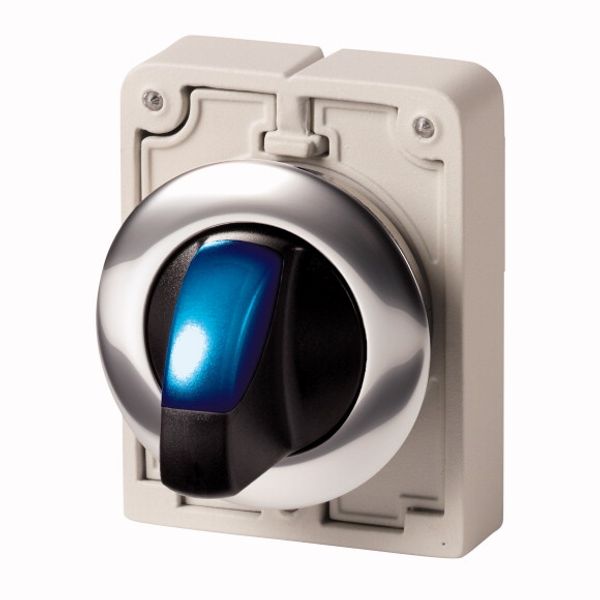 M30C-FWLK-B Illuminated selector switch actuator, RMQ-Titan, With thumb-grip, momentary, 2 positions, Blue, Metal bezel image 1