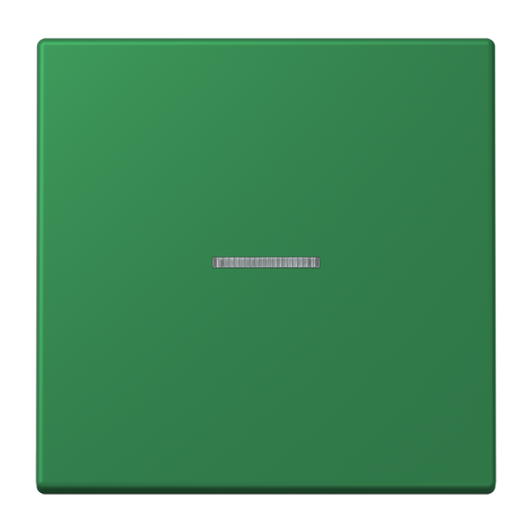 JUNG HOME push-button 1-gang BTLC17101219 image 1