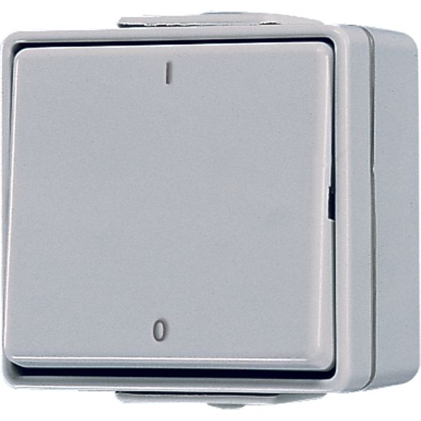 1-gang switch 10 AX / 250 V ~ 602W image 2