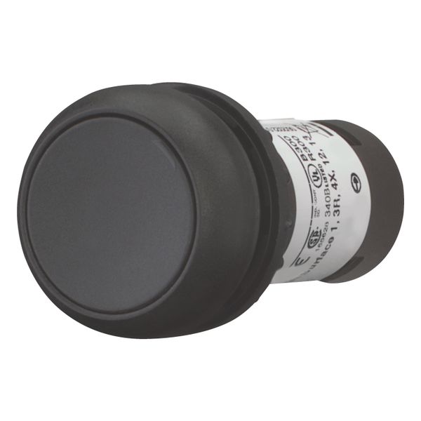 Pushbutton, Flat, momentary, 1 NC, Screw connection, black, Blank, Bezel: black image 8