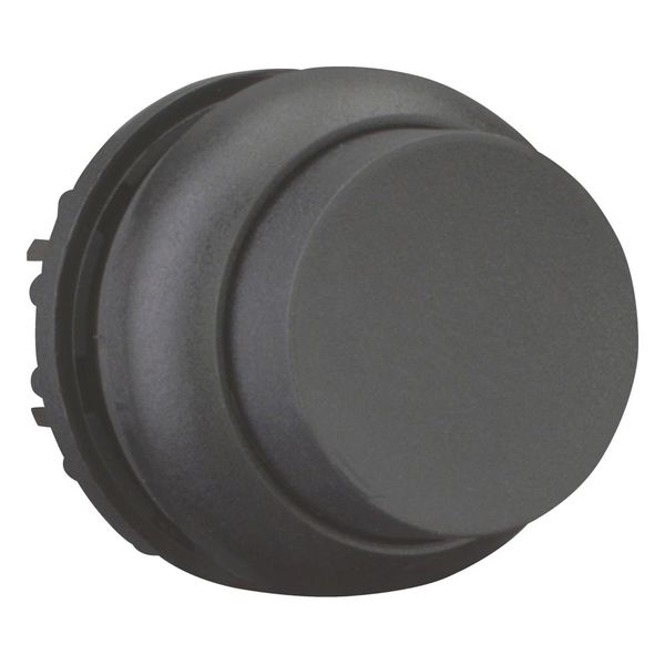 M22S-DH-S Pushbutton, RMQ-Titan, Extended, momentary, black, Blank, Bezel: black image 11