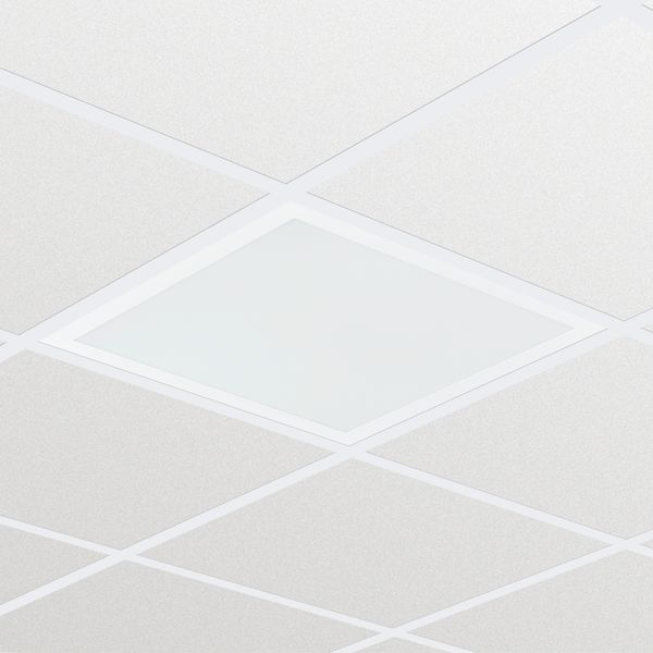 CR150B LED35S/840 PSD W60L60 IP54 image 1