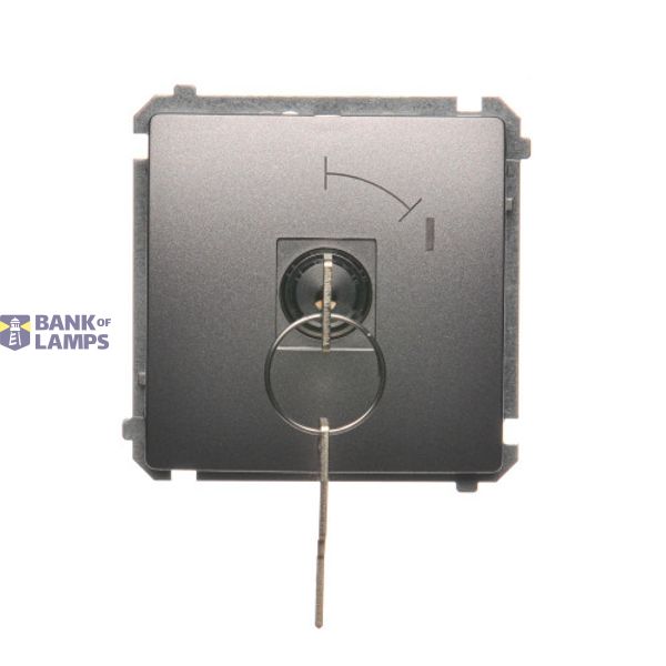Momentary single switches with key - two positions ''0-1'', Inox, metallized, 5A image 1