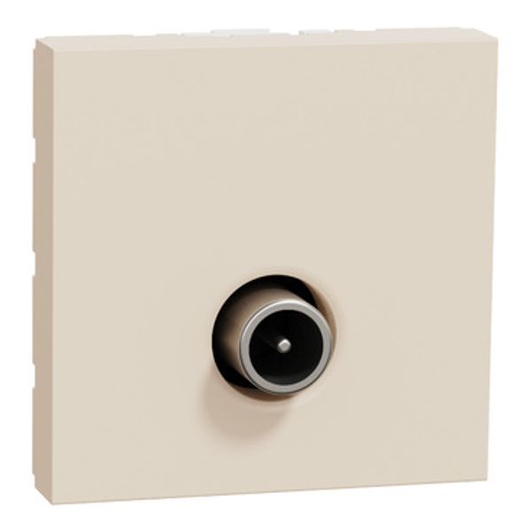 Rama Studio Metal 1post auriu/negru image 2