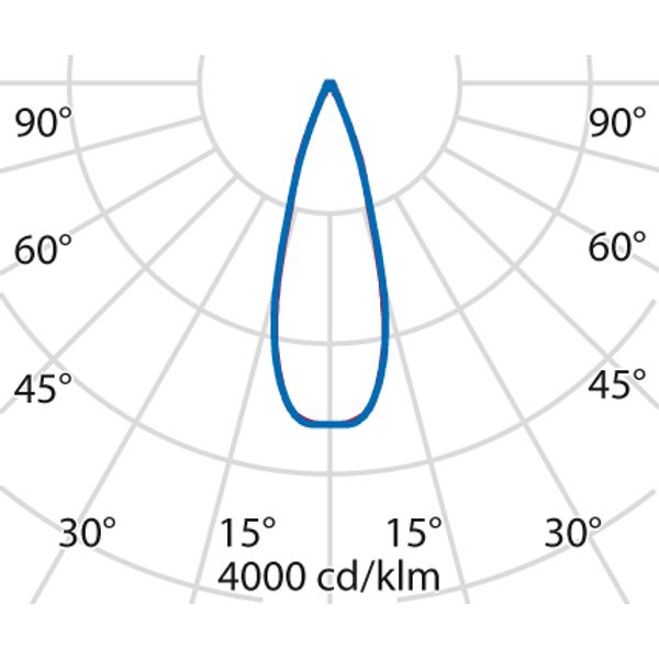 TYK+ 30 81 C/M 840 ANTHRACITE DALI image 5
