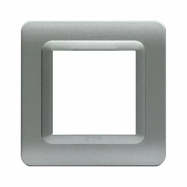 44 MOULDED FR.PLATE MATT SILVER  2M image 1