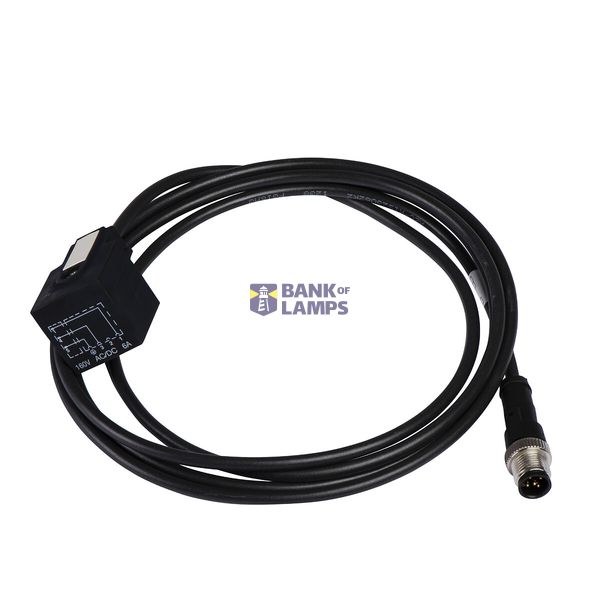 Cable Jumper straight M12 8-pin Male, straight M12 8-pin Female, PUR c image 7