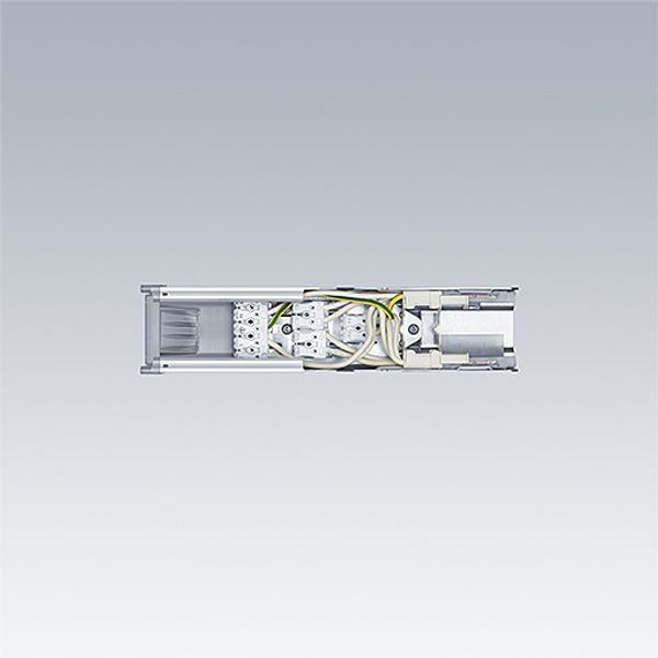 CONTUS TA WH - Feed-Out image 1