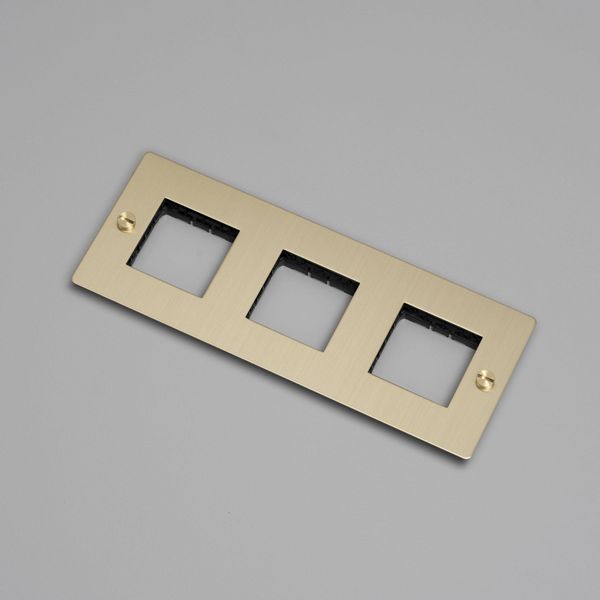 3G WALL PLATE / HORIZONTAL / NO INFILLS / WITHOUT LOGO / BRASS image 1