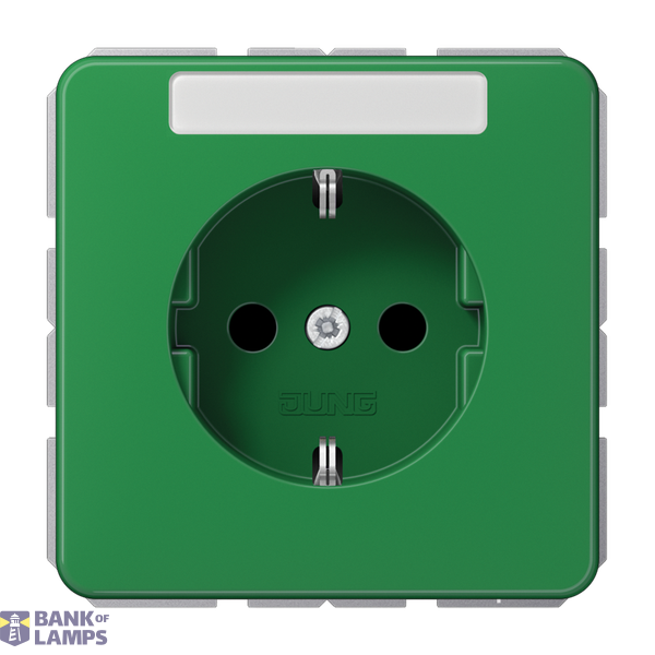 SCHUKO socket, 16 A 250 V ~, with labeling field, integrated increased contact protection, SAFETY+, thermoplastic, CD series, green (for SV) image 1
