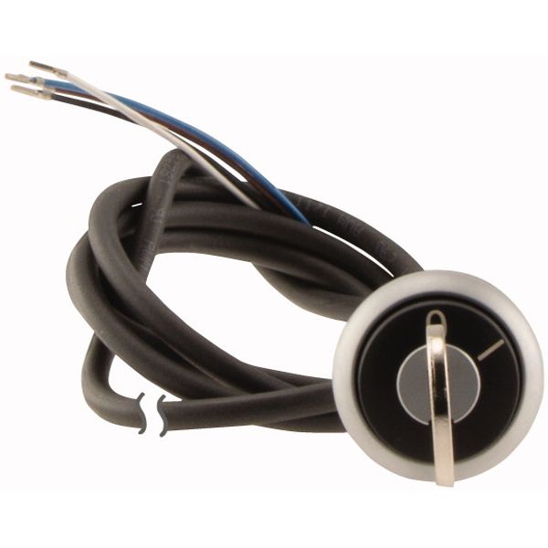 C22-WRS-MS1-K02-P65 Key-operated actuator, RMQ compact solution, maintained, 2 NC, Cable (black) with non-terminated end, 4 pole, 3.5 m, 2 positions, MS1, Bezel: titanium image 2