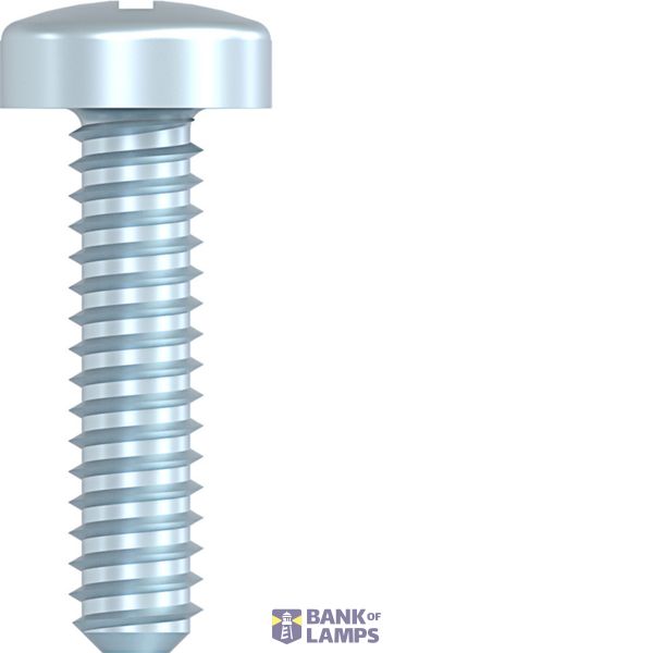 Anti-theft screw for electronic modules image 1