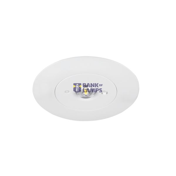 P-LIGHT RL 6000K 4W image 1