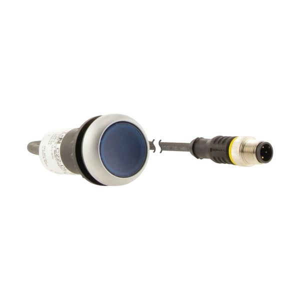 C22-DRL-B-K10-24-P5 Illuminated pushbutton actuators, maintained, blue, 24v, 1 N/O, with cable 1m and M12A plug image 10