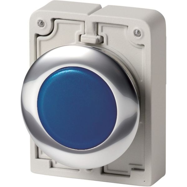 M30C-FL-B Indicator light, RMQ-Titan, Flat, Blue, Metal bezel image 3