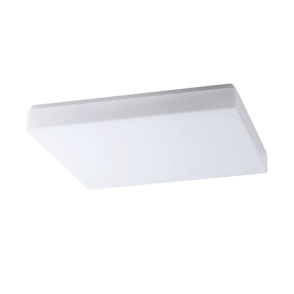 TILIA 3 LED-4L36C03NU4/PC34 DALI 3000 image 1
