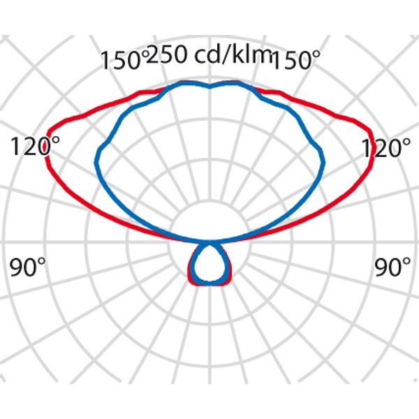 INTENSE PL M2 95W830 BLACK DARK DALI image 4
