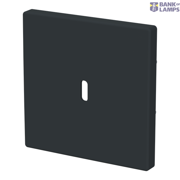 6479-81-500 Cover plate for USB C power adapter image 2