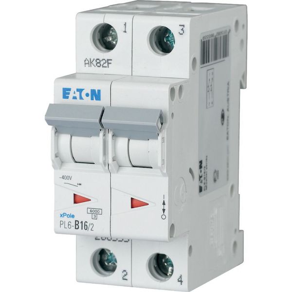 PL6-B16/2 Miniature circuit breaker (MCB), 16 A, 2p, characteristic: B image 2