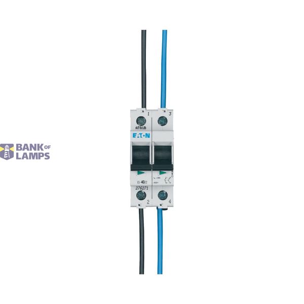 Switch disconnector 2P 40A FLEX image 4