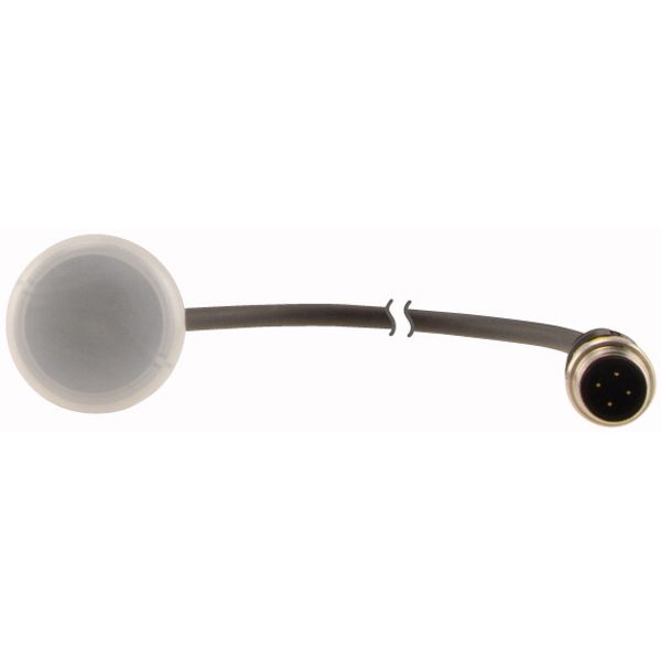 C22-L-W-24-P1 Indicator light, Flat, Cable (black) with M12A plug, 4 pole, 0.2 m, Lens white, LED white, 24 V AC/DC image 2