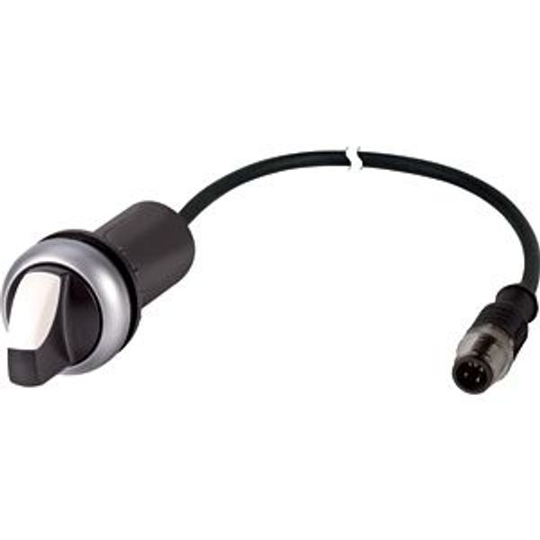 C22-WK3-K20-P1 Changeover switch, With thumb-grip, momentary, 2 N/O, Cable (black) with M12A plug, 4 pole, 0.2 m, 3 positions, Bezel: titanium image 2