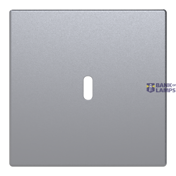 6479-83-500 Cover plate for USB C power adapter image 1