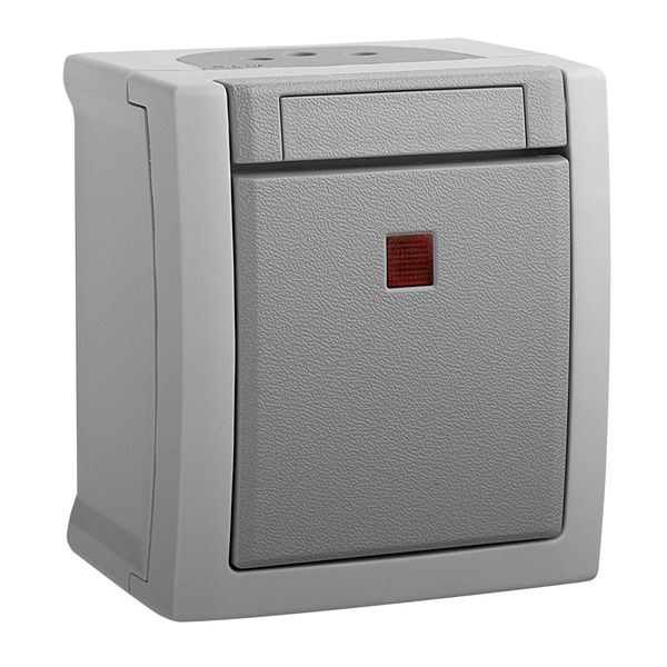 Pacific Grey (Quick Connection) Illuminated Switch image 1