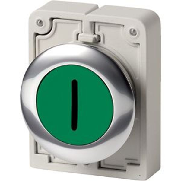 M30C-FD-G-X1 Pushbutton, RMQ-Titan, Flat, momentary, green, inscribed, Metal bezel image 2
