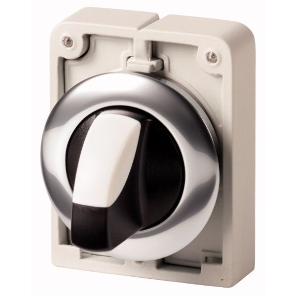 M30C-FWRK Changeover switch, RMQ-Titan, With thumb-grip, maintained, 2 positions, Metal bezel image 1